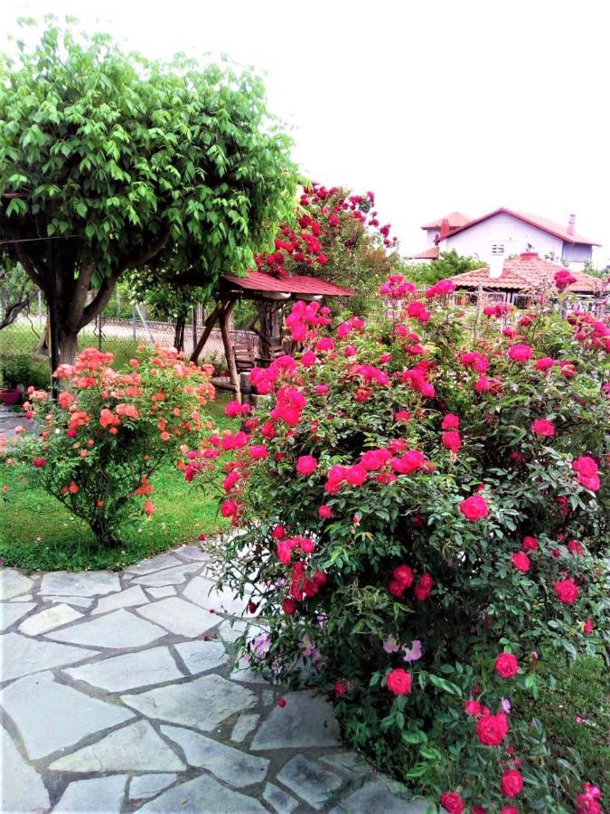 Villa Jenny Leptokarya  Esterno foto