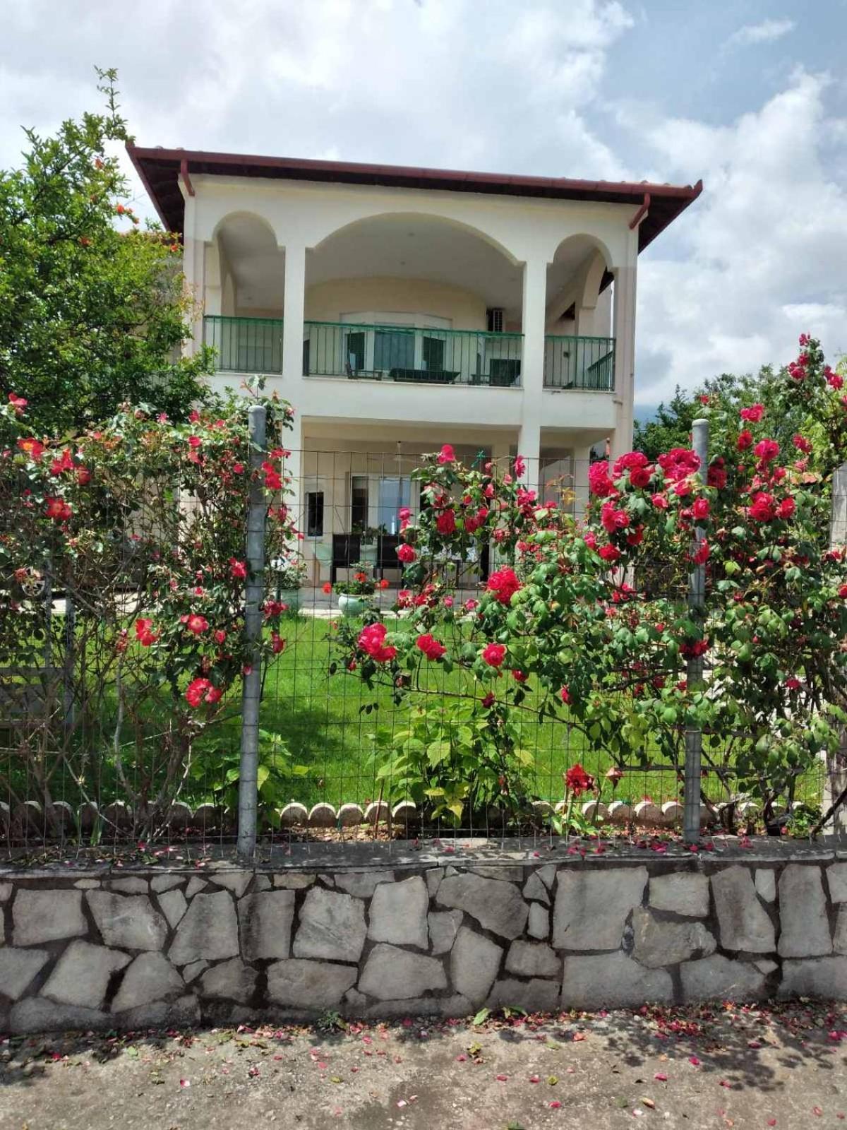 Villa Jenny Leptokarya  Esterno foto