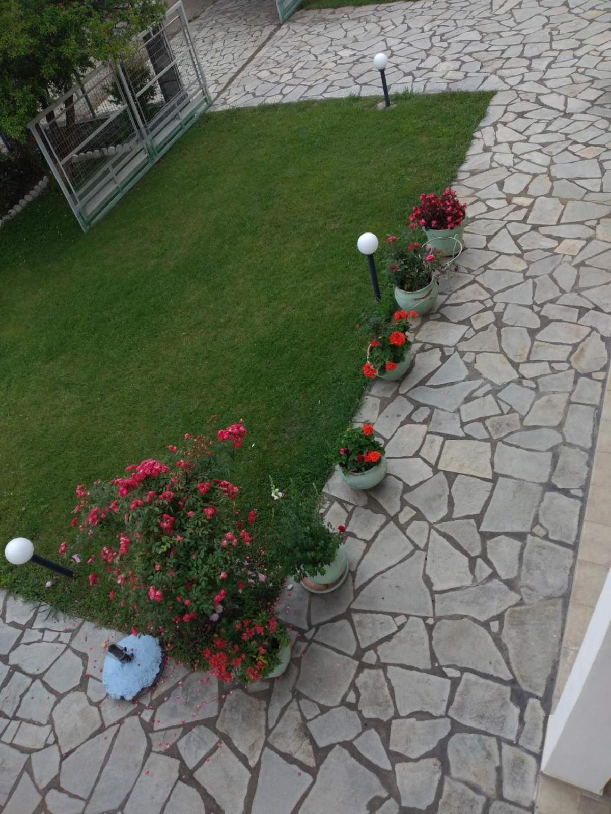 Villa Jenny Leptokarya  Esterno foto