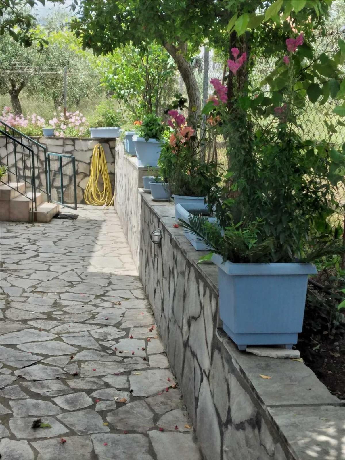 Villa Jenny Leptokarya  Esterno foto